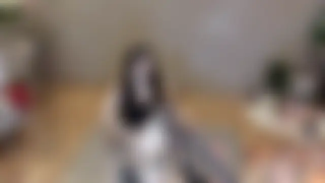 Hahaha_ha2's Webcam Show