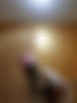 Bakedroll333's Live Sex Cam Show