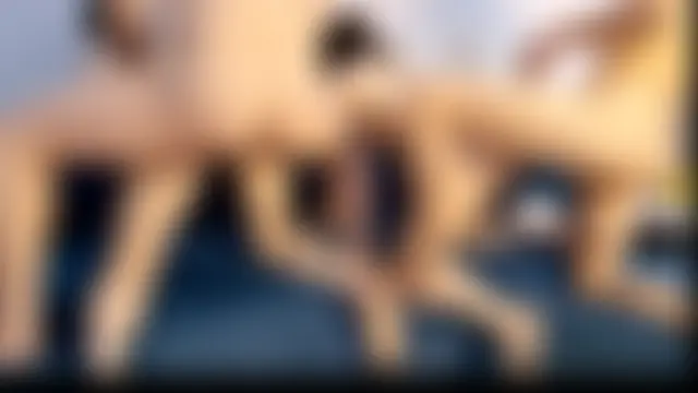 opo-3566's Webcam Show