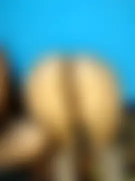 Sexy_dolls' Webcam Show