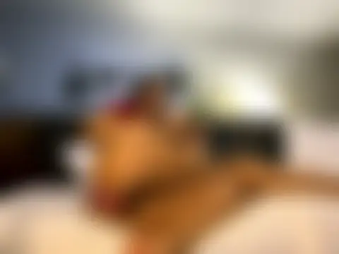 lilmisssunshine_'s Webcam Show