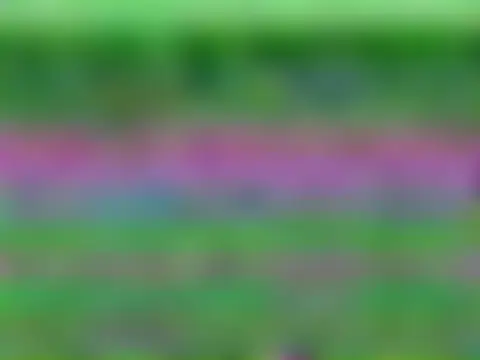 aliayourfav's Webcam Show