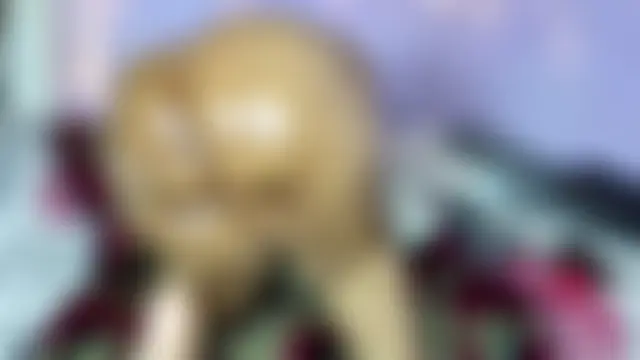 wilmaassylum's Webcam Show