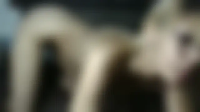 starbvnny's Webcam Show