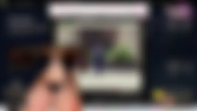 baileymonarch's Webcam Show