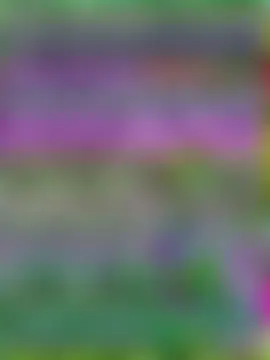 SexxyLunar's Webcam Show