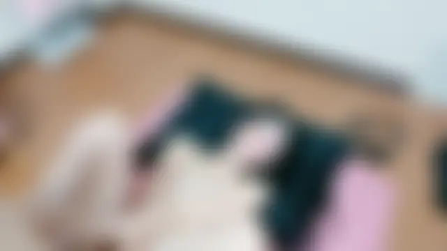 komei_abe's Webcam Show