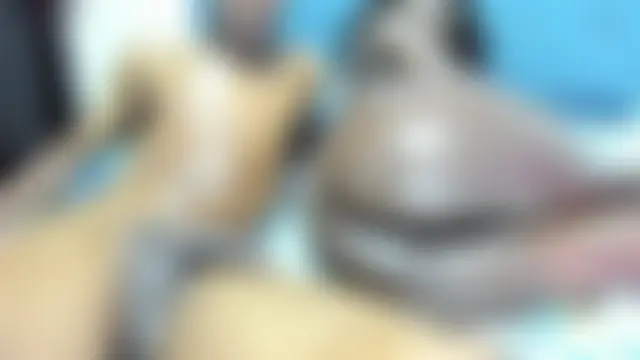 demonychloe's Webcam Show