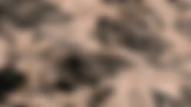 Paige_Turner's Webcam Show