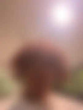 Zayinc's Webcam Show