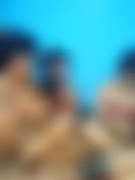 Sexy_dolls' Webcam Show