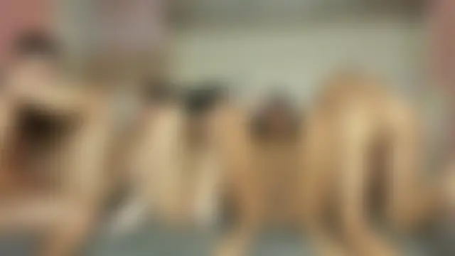 alice_rookie's Live Sex Cam Show