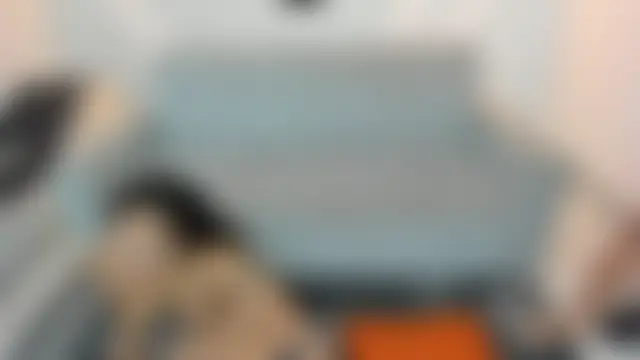 brutal_sex_room2's Webcam Show