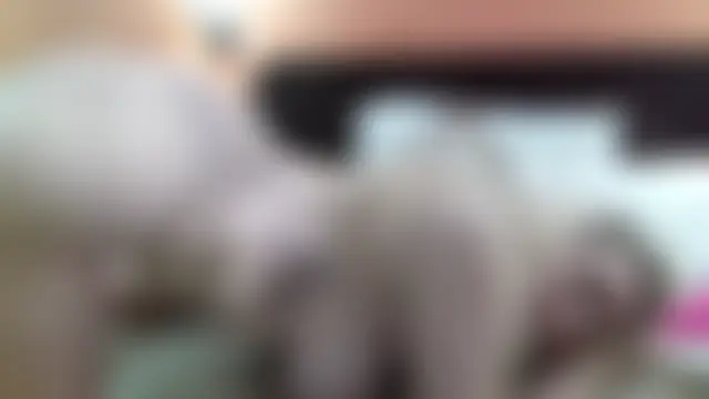 ThiccMilfBlaire's Webcam Show