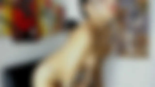 Xtreme_group_Dirty69's Live Sex Cam Show