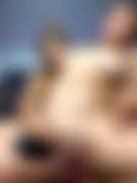 OneInAMillionXXX's Webcam Show