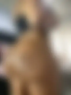 Mercedes_555's Webcam Show