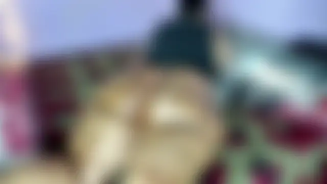 wilmaassylum's Webcam Show