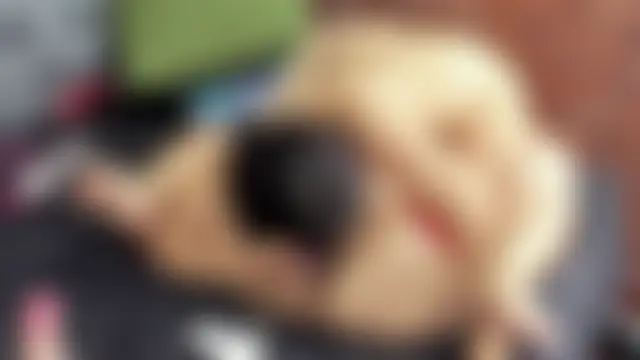 Couple_Gold69's Webcam Show