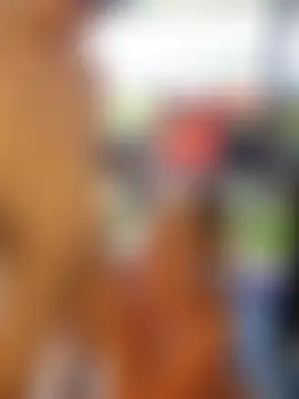 anita1976's Webcam Show