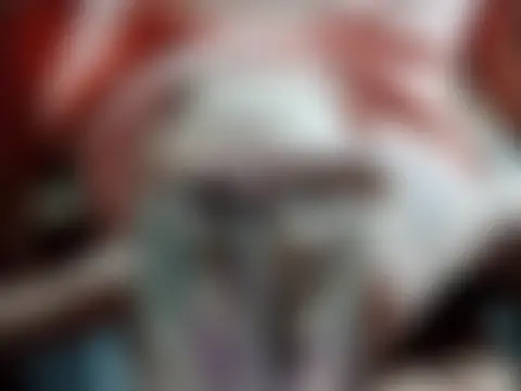 Harley_and_The_Joker's Webcam Show