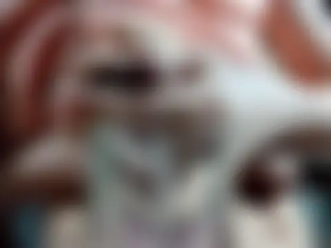 Harley_and_The_Joker's Webcam Show