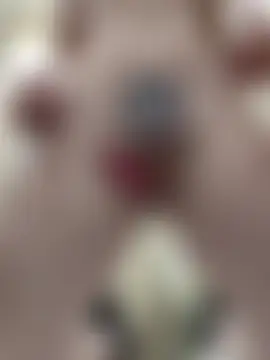 EVILYN's Webcam Show