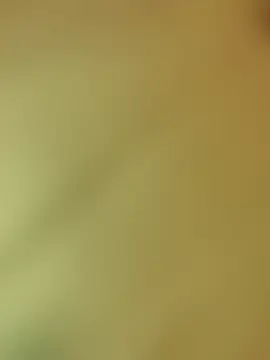 bull8_barby's Live Sex Cam Show