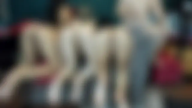 theorder-ofladys' Live Sex Cam Show