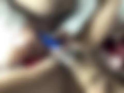 avnikaur's Webcam Show