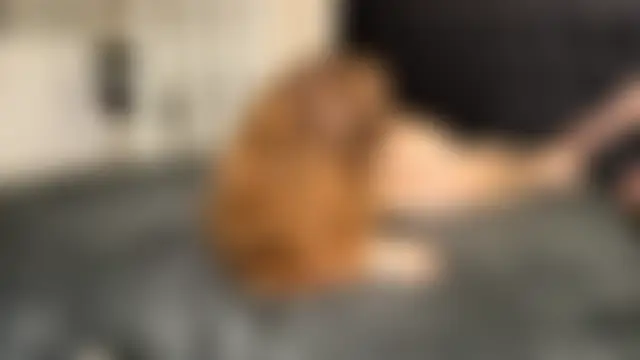 Lovely_Bunnyhot's Live Sex Cam Show