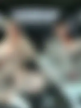 Inked_lorena's Webcam Show