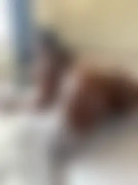 t-Booty_risky_'s Webcam Show