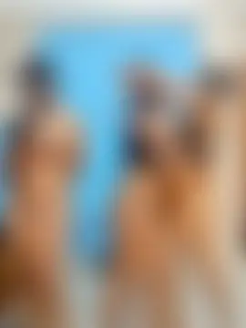 Sexy_dolls' Webcam Show