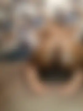 Losses1834's Webcam Show