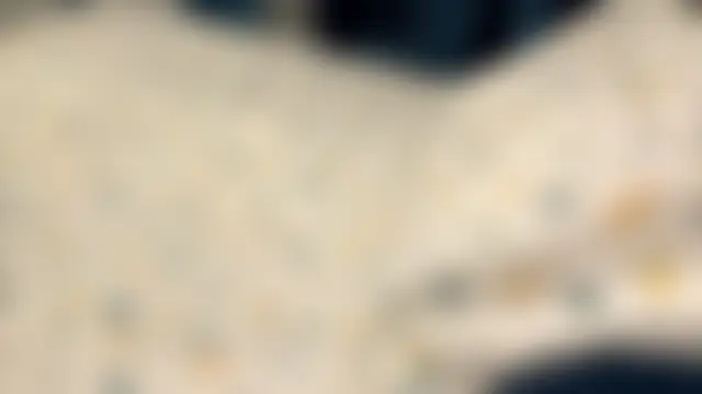 SupremeDividend's Webcam Show