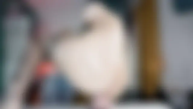 baeasian's Webcam Show