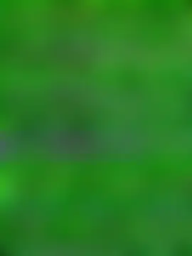 Holyplastic's Webcam Show