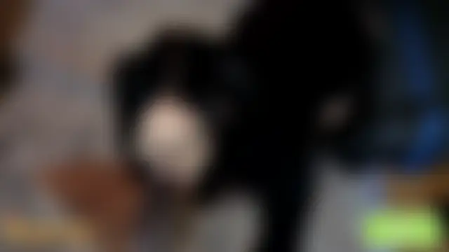 Pleasure_You_'s Webcam Show