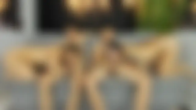 hotsatisfactionGGH's Live Sex Cam Show