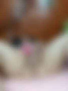 SluttyMilf79's Webcam Show