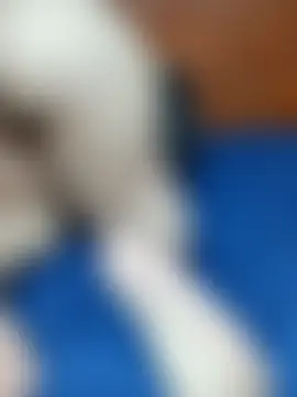 SluttyMilf79's Webcam Show