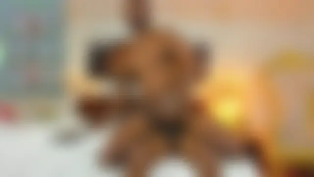 Jakexv's Live Sex Cam Show