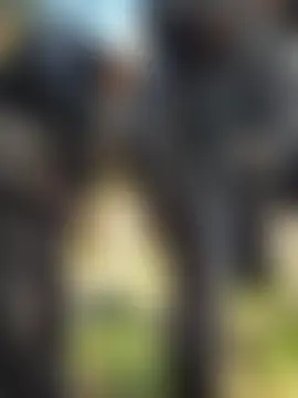 DarkDea's Webcam Show