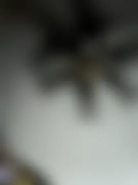 ImCarolinaCutiexxx's Webcam Show