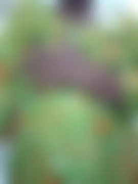 Payel-Sen's Live Sex Cam Show