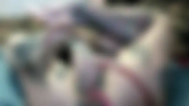 pamelagunns' Live Sex Cam Show