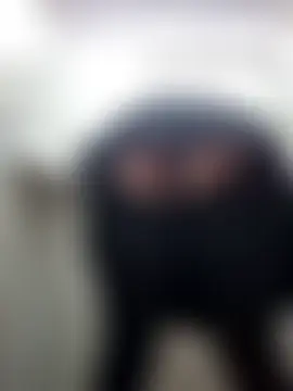 wildyoungNhorny's Webcam Show