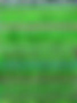 TrenaAnne's Webcam Show