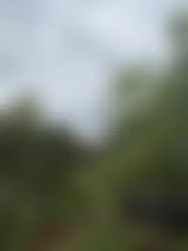 Rose-andres' Webcam Show